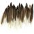 Duck Wing Quill Feathers 22 Per Pkg Natural