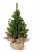 Mixed Canadian Tree With Burlap Base - 124 Tips - 18 Inches