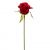 Everyday Red Rose Pick 9.5 Inches