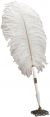Feather Pen 14 Inches White